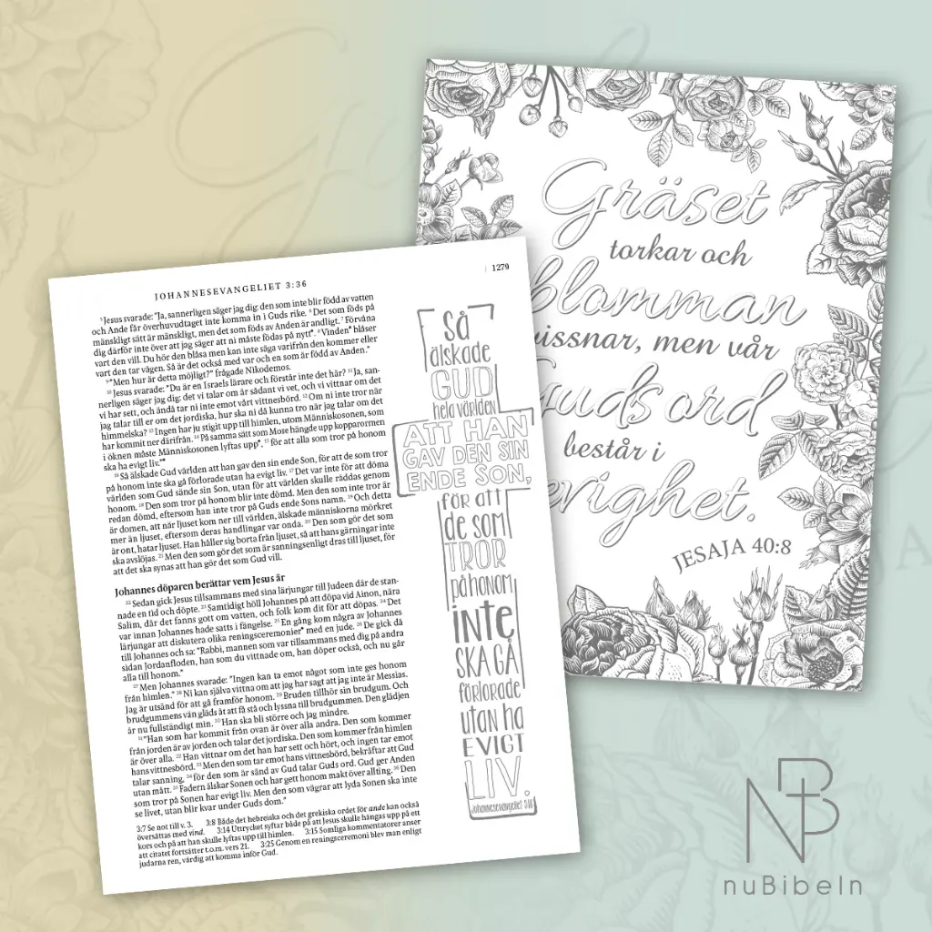 Inspirationsbibeln3.webp