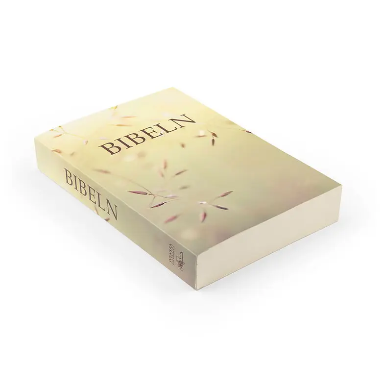 Kompaktbibel äng2.webp