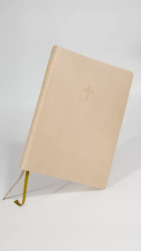 Svenska Folkbibeln 2015 beige 2.webp