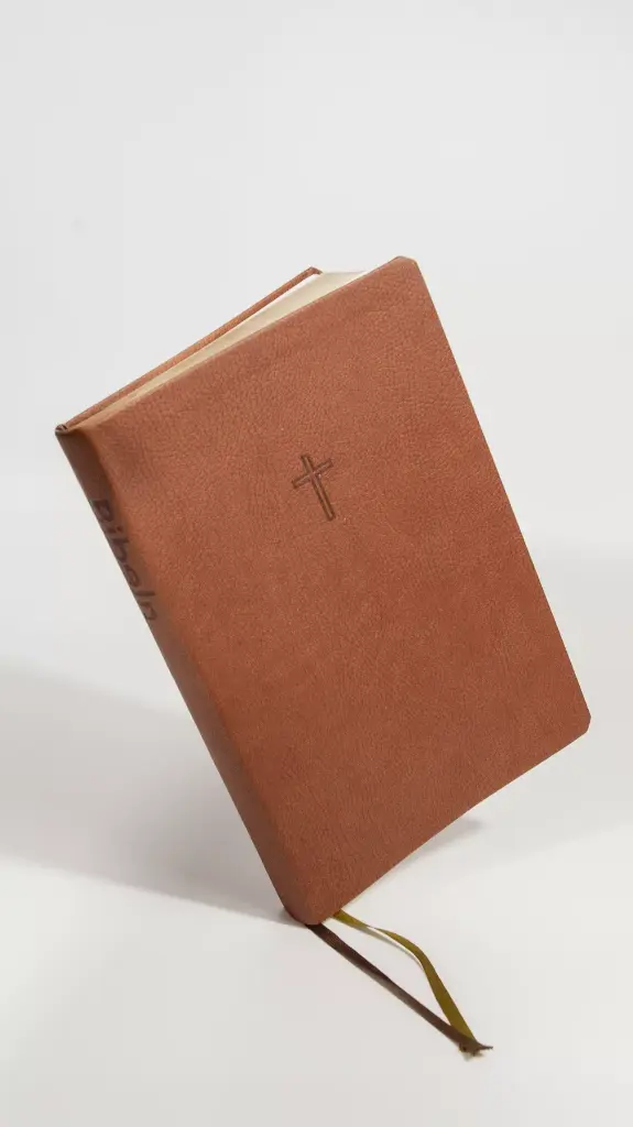 Svenska Folkbibeln 2015 - slim ljusbrun2.webp