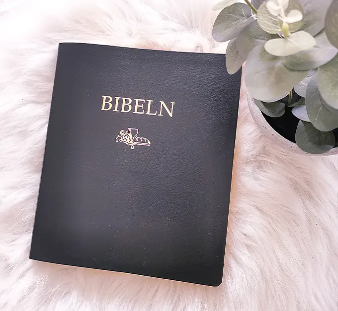 Svenska Folkbibeln 2015 Anteckningsbibel, svart cabraskinn3.webp