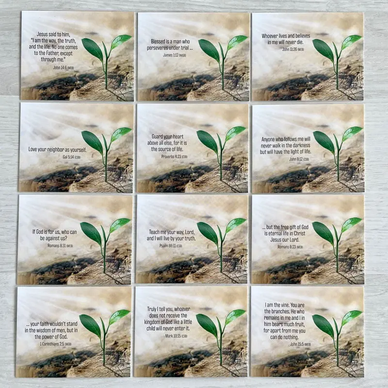 Manna - Cards with Bible verses2.webp