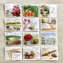 Värdefulla ord – Kortask3.webp