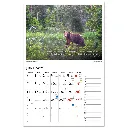 Naturkalender 2027 – Reine Jonsson3.webp
