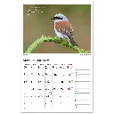 Naturkalender 2027 – Reine Jonsson2.webp