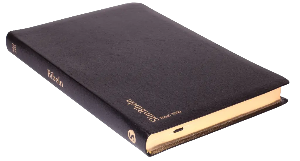Bibel 2000 slimline – svart cabra