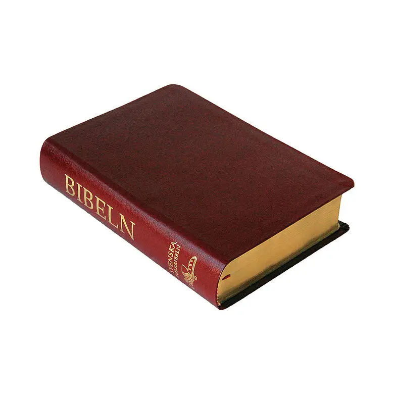 Svenska Folkbibeln 2015 – mellanformat cabraskinn röd