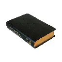 Svenska Folkbibeln 2015 – mellanformat äkta skinn svart