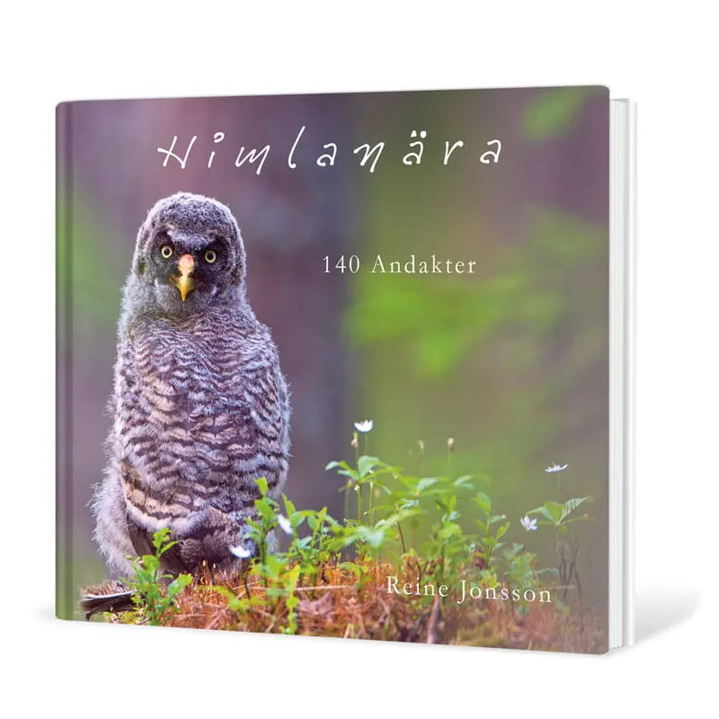 [212.003] Himlanära