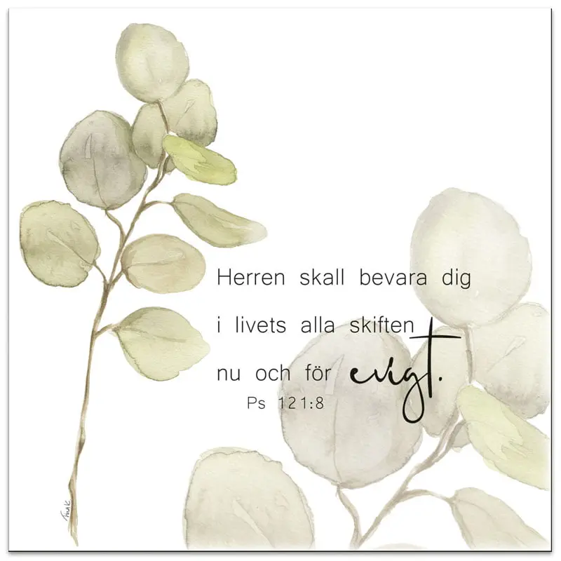 [512.003] Servetter – Livets ögonblick, 20-pack