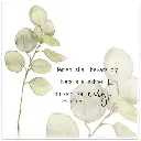 Servetter – Livets ögonblick, 20-pack