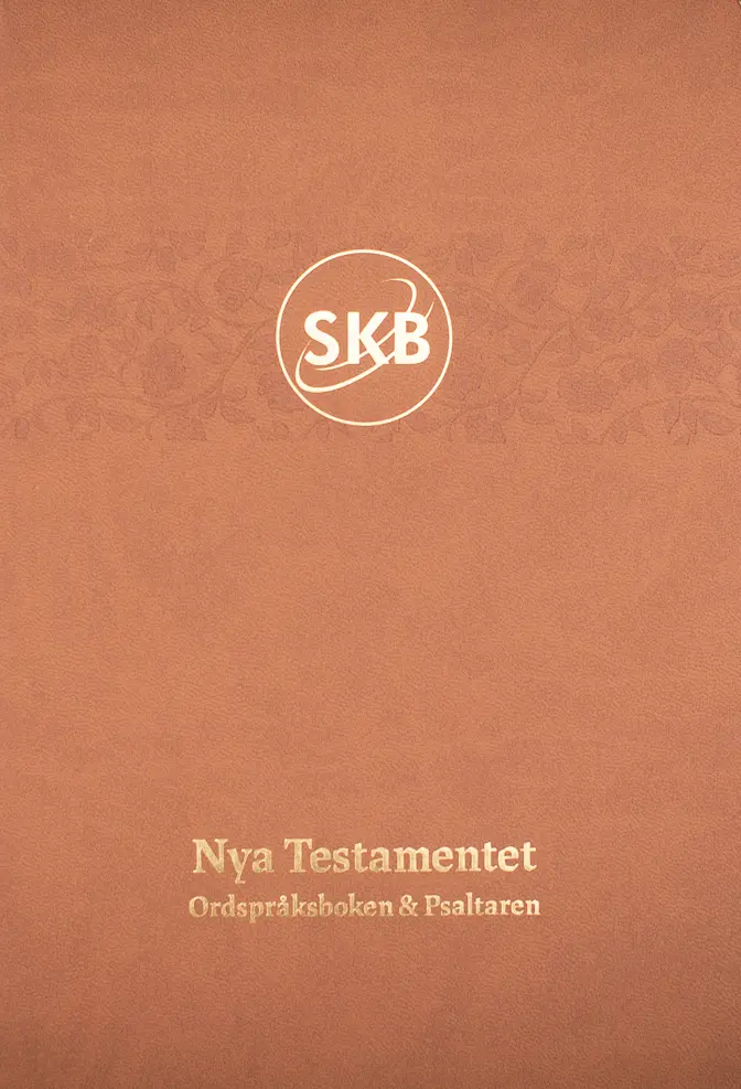 [111.003] Svenska Kärnbibeln NT+, sand