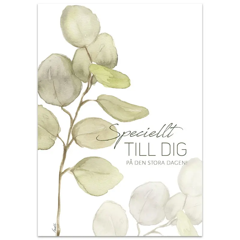 Vykort – Speciellt till dig på den stora dagen