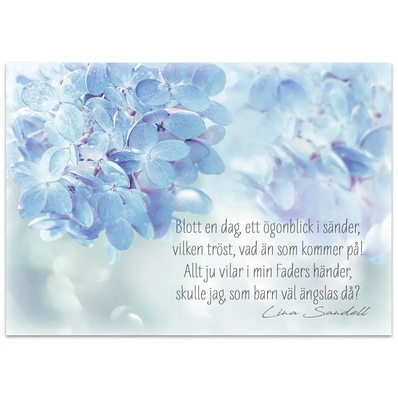 [712.015] Vykort – Blott en dag