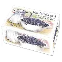 Kortask – Värdefulla ord