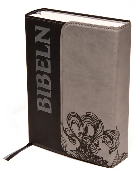 [124.001] Bibel 2000 – skinn med magnetlås