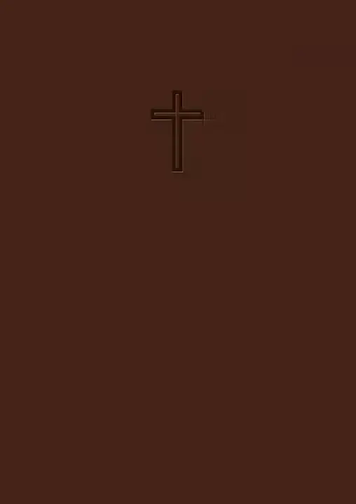 [123.003] Svenska Folkbibeln 2015 – slimline mörkbrun