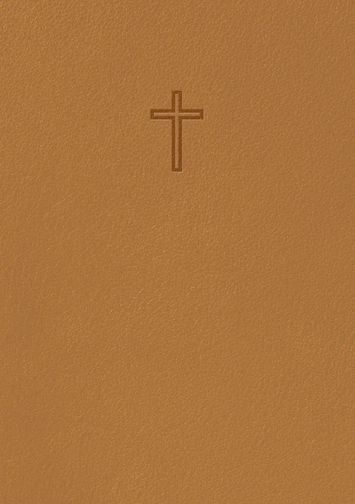 Svenska Folkbibeln 2015 – slimline bärnsten