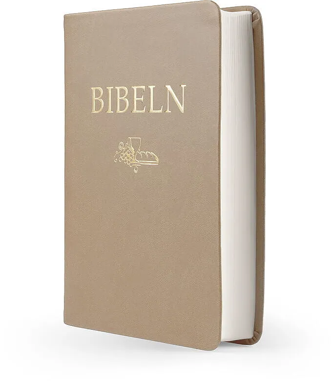 Svenska Folkbibeln 2015 – Kompaktbibel skinnimitation brun