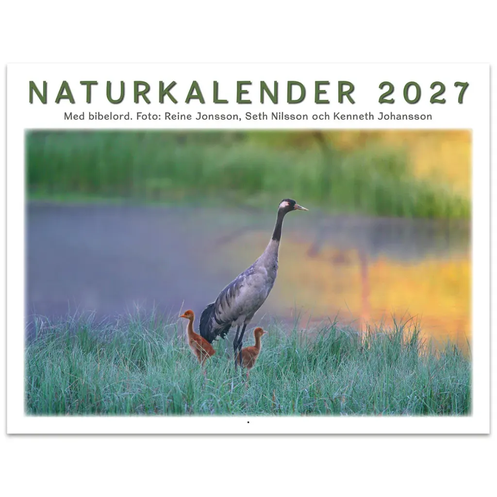 Naturkalender 2027 – Reine Jonsson