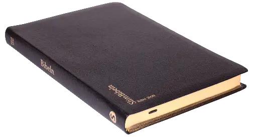 [111.001] Bibel 2000 slimline – svart cabra