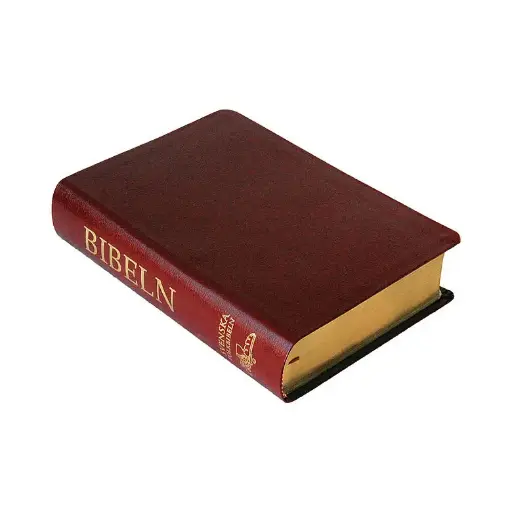 [116.004] Svenska Folkbibeln 2015 – mellanformat cabraskinn röd