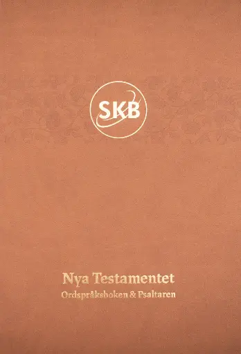 [111.003] Svenska Kärnbibeln NT+ – sand