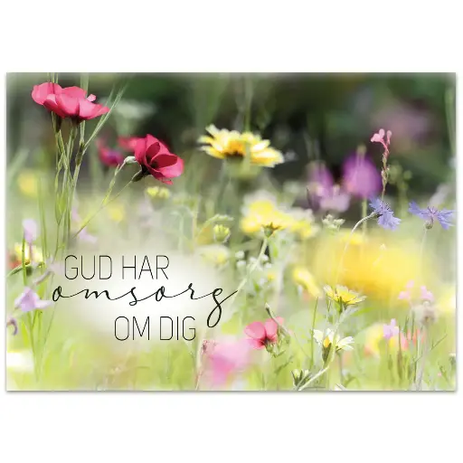 [712.022] Vykort – Gud har omsorg om dig