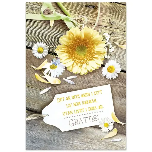 [712.026] Dubbelt kort – Grattis!