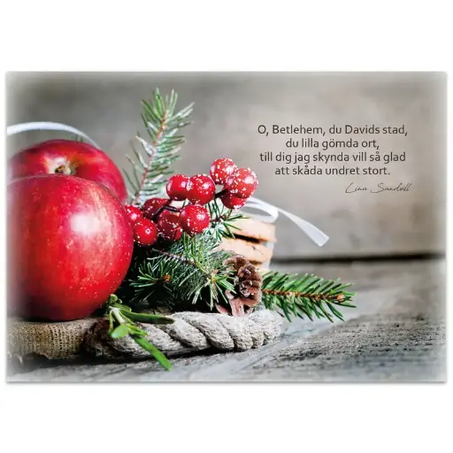 [712.041] Julkort – O, Betlehem, du Davids stad